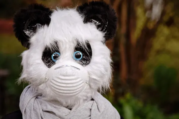 BigAzart Casino Tacaíocht